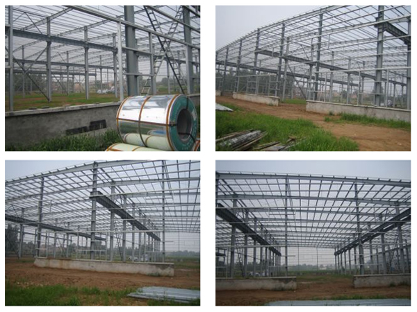 鋼結(jié)構(gòu)施工 鋼結(jié)構(gòu)施工